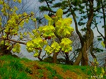 20070309 25.jpg